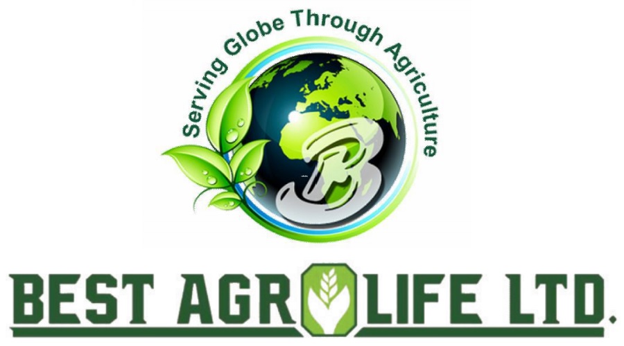 Best Agrolife Ltd consolidated Q1FY24 PAT zooms to Rs. 90.50 crores